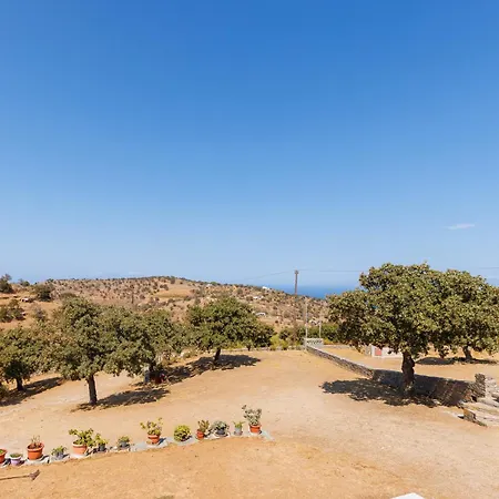 Peace View Kea Holiday home